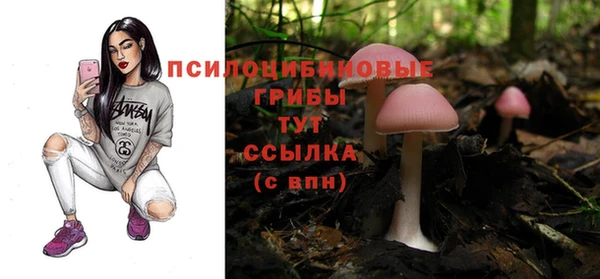 метадон Кинешма
