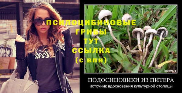 дурь Киреевск