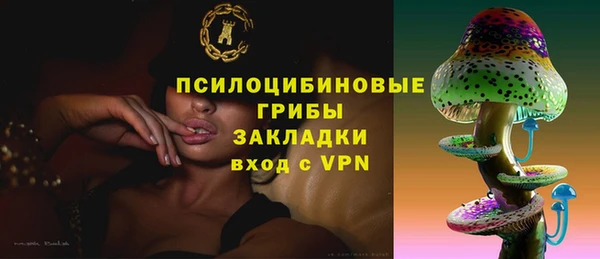 дурь Киреевск
