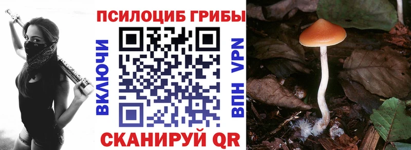 как найти наркотики  Тюкалинск  Псилоцибиновые грибы MAGIC MUSHROOMS 